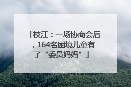 枝江：一场协商会后，164名困境儿童有了“委员妈妈”