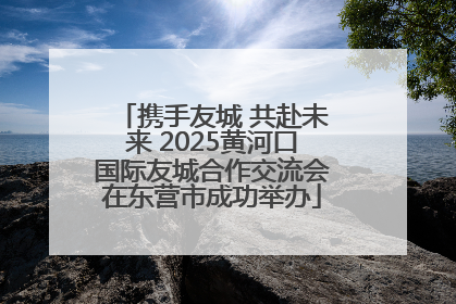 携手友城 共赴未来 2025黄河口国际友城合作交流会在东营市成功举办