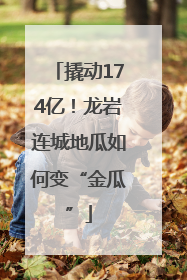 撬动174亿！龙岩连城地瓜如何变“金瓜”