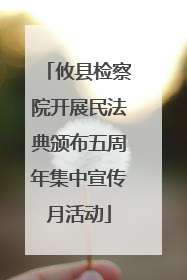 攸县检察院开展民法典颁布五周年集中宣传月活动