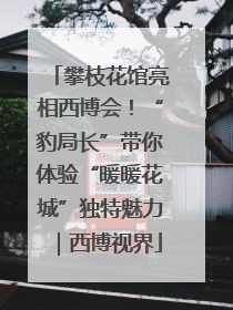 攀枝花馆亮相西博会！“豹局长”带你体验“暖暖花城”独特魅力｜西博视界
