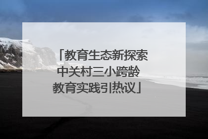 教育生态新探索 中关村三小跨龄教育实践引热议