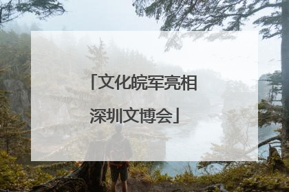 文化皖军亮相深圳文博会