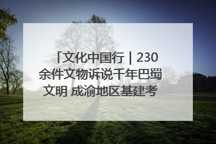 文化中国行｜230余件文物诉说千年巴蜀文明 成渝地区基建考古成果展开展