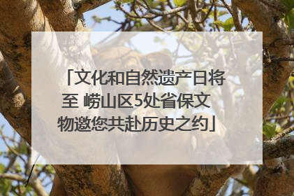 文化和自然遗产日将至 崂山区5处省保文物邀您共赴历史之约