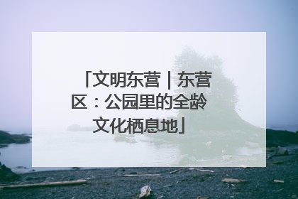 文明东营｜东营区：公园里的全龄文化栖息地