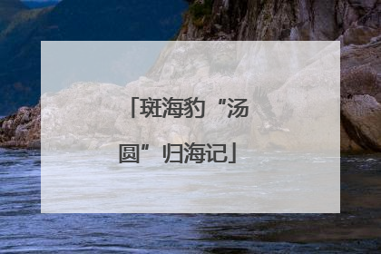 斑海豹“汤圆”归海记