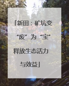 新田：矿坑变“废”为“宝” 释放生态活力与效益