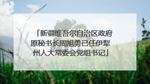 新疆维吾尔自治区政府原秘书长周旭勇已任伊犁州人大常委会党组书记