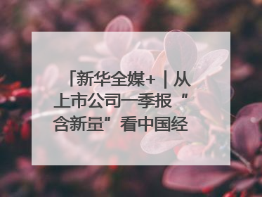 新华全媒+｜从上市公司一季报“含新量”看中国经济发展向“新”