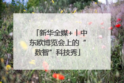 新华全媒+丨中东欧博览会上的“数智”科技秀