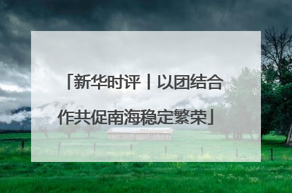 新华时评丨以团结合作共促南海稳定繁荣