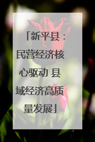 新平县：民营经济核心驱动 县域经济高质量发展