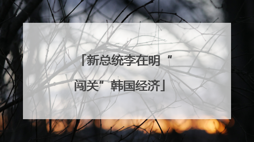 新总统李在明“闯关”韩国经济