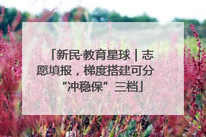 新民·教育星球｜志愿填报，梯度搭建可分“冲稳保”三档