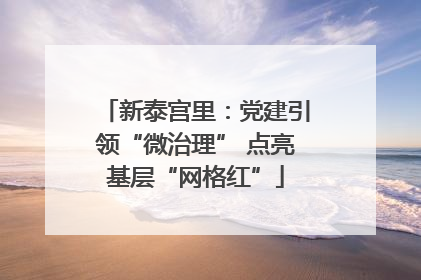 新泰宫里：党建引领“微治理” 点亮基层“网格红”