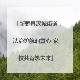 新野县汉城街道：法治护航润童心 家校共育筑未来