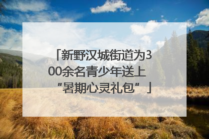 新野汉城街道为300余名青少年送上“暑期心灵礼包”