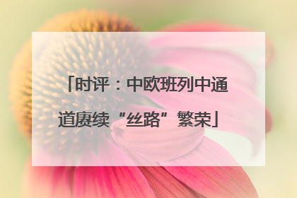 时评：中欧班列中通道赓续“丝路”繁荣