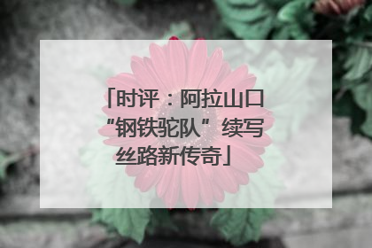 时评：阿拉山口“钢铁驼队”续写丝路新传奇