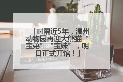 时隔近5年，温州动物园再迎大熊猫“宝弟”“宝妹”，明日正式开馆！