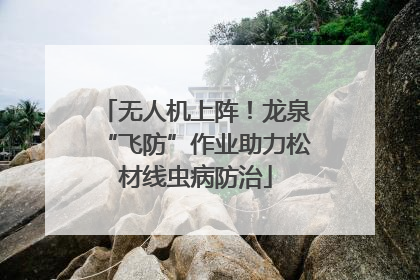 无人机上阵！龙泉“飞防”作业助力松材线虫病防治