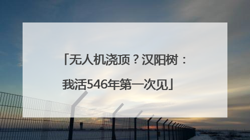 无人机浇顶？汉阳树：我活546年第一次见