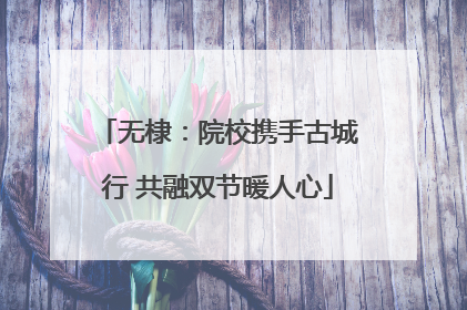 无棣：院校携手古城行 共融双节暖人心