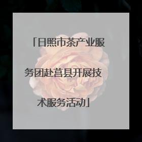 日照市茶产业服务团赴莒县开展技术服务活动