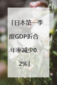 日本第一季度GDP折合年率减少0.2%