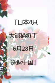 日本4只大熊猫将于6月28日送返中国