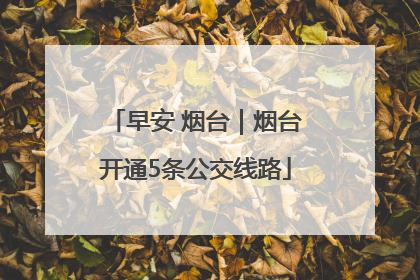 早安 烟台｜烟台开通5条公交线路