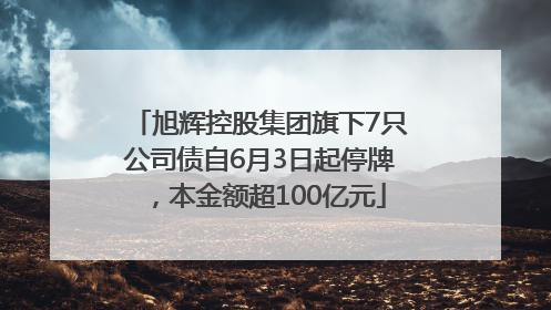 旭辉控股集团旗下7只公司债自6月3日起停牌，本金额超100亿元
