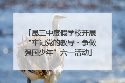 昆三中度假学校开展“牢记党的教导・争做强国少年”六一活动