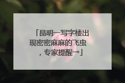 昆明一写字楼出现密密麻麻的飞虫，专家提醒→
