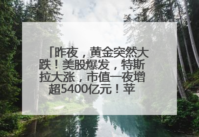 昨夜，黄金突然大跌！美股爆发，特斯拉大涨，市值一夜增超5400亿元！苹果传来大消息