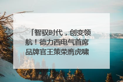 智驭时代，创变领航！德力西电气首席品牌官王策荣膺虎啸奖年度品牌人物