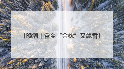 晚潮｜畲乡“金枕”又飘香