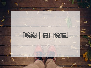 晚潮｜夏日说莲