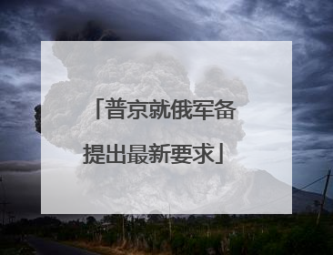 普京就俄军备提出最新要求