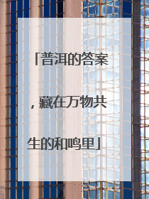 普洱的答案，藏在万物共生的和鸣里