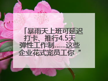 暴雨天上班可延迟打卡、推行4.5天弹性工作制……这些企业花式宠员工你“慕”了吗？