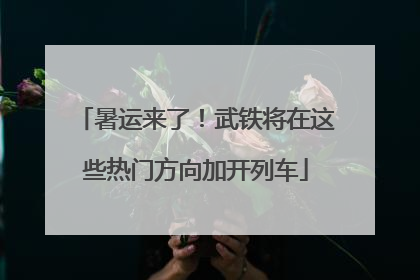 暑运来了！武铁将在这些热门方向加开列车