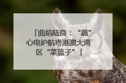曲靖陆良：“蔬”心电护航粤港澳大湾区“菜篮子”