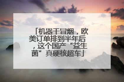 机器干冒烟，欧美订单排到半年后，这个国产“益生菌”真硬核超车