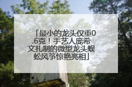最小的龙头仅重0.6克！手艺人庞希文扎制的微型龙头蜈蚣风筝惊艳亮相