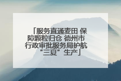 服务直通麦田 保障颗粒归仓 德州市行政审批服务局护航“三夏”生产
