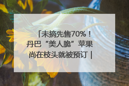 未摘先售70%！丹巴“美人脆”苹果尚在枝头就被预订｜长征路上看四川