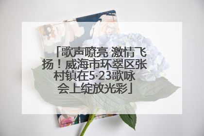 歌声嘹亮 激情飞扬！威海市环翠区张村镇在5·23歌咏会上绽放光彩