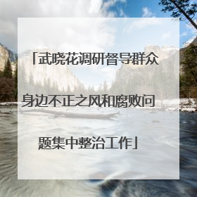 武晓花调研督导群众身边不正之风和腐败问题集中整治工作